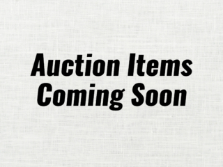 Auction Items@4x-100
