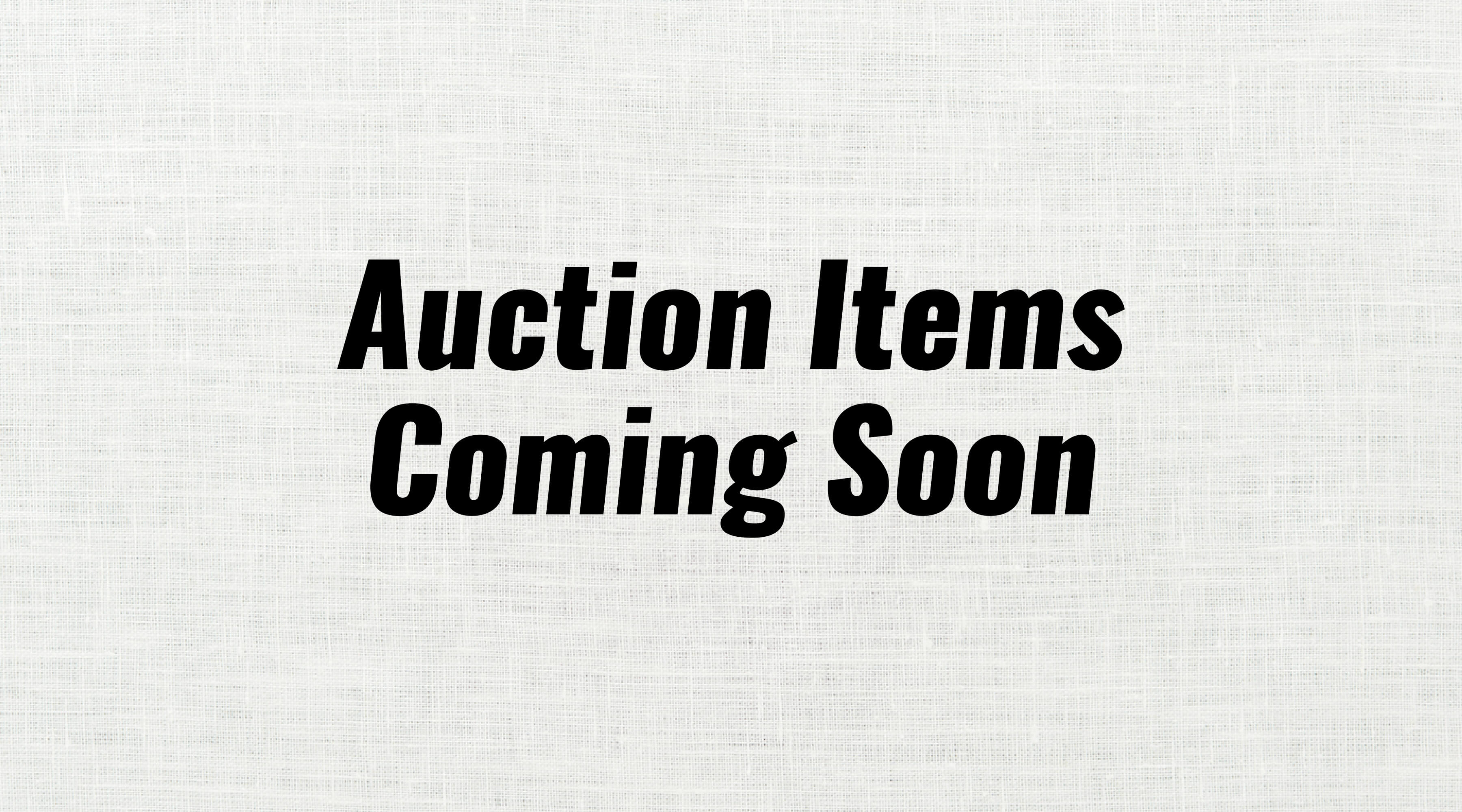 Auction Items@4x-100