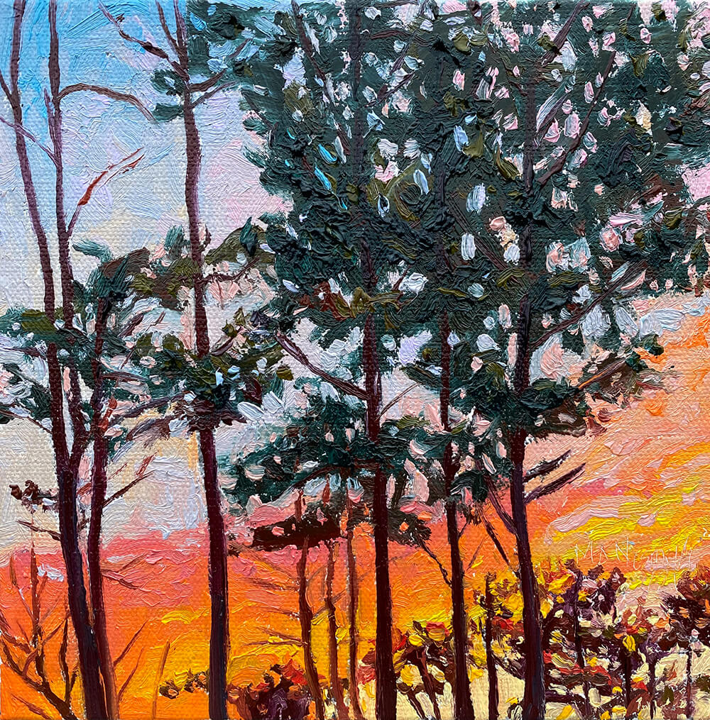 Mark Nesmith_Sunset Through the Pines_oil on canvas_8x8_2021